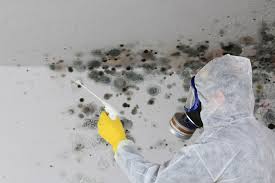 Best Industrial Mold Remediation  in Newbern, TN